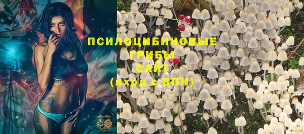 гидропоника Верхний Тагил